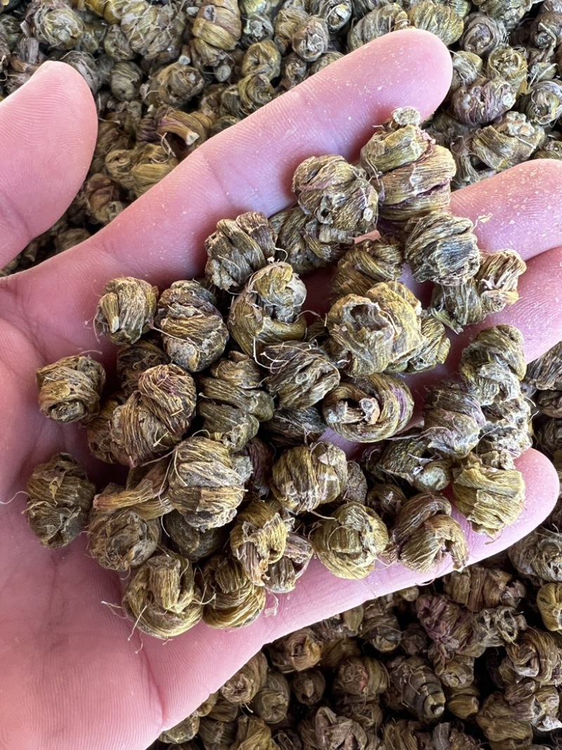 铁皮石斛枫斗，胶质好、自产自销、工厂直发