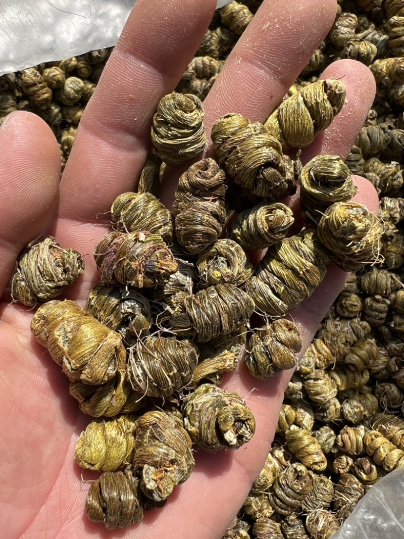铁皮石斛枫斗，胶质好、自产自销、工厂直发