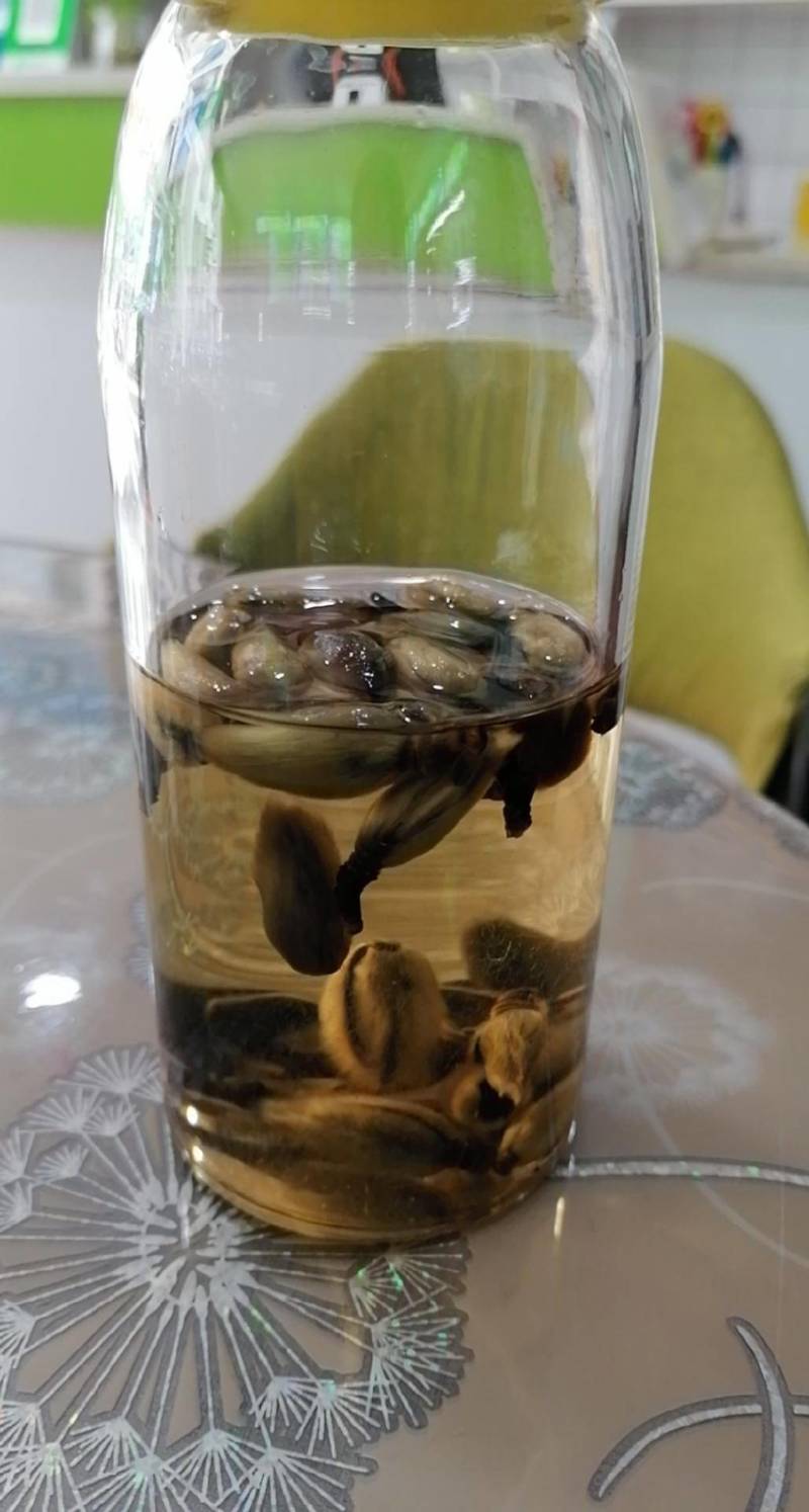 辛夷花，中药材批发零售辛夷花
