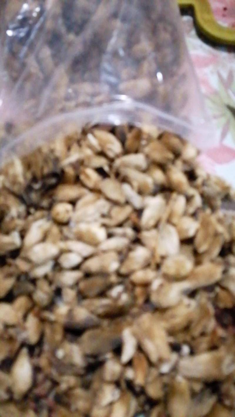 辛夷花，中药材批发零售辛夷花
