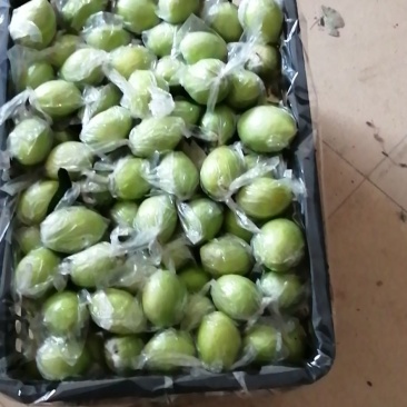 广西平南县。青枣，大叶枣，密丝枣。入口甜脆爽口。