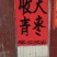 广西平南县丹竹镇。丝蜜枣，大叶枣。苹果枣，牛奶枣。