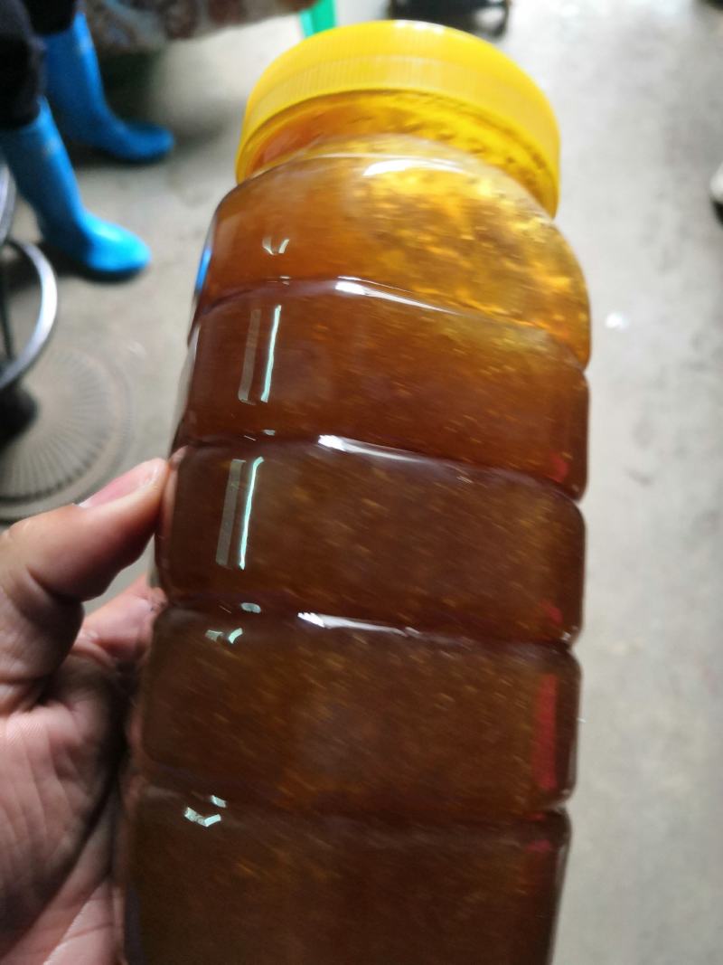 广西本地百花蜂蜜/土蜂蜜/量大价优/欢迎咨询