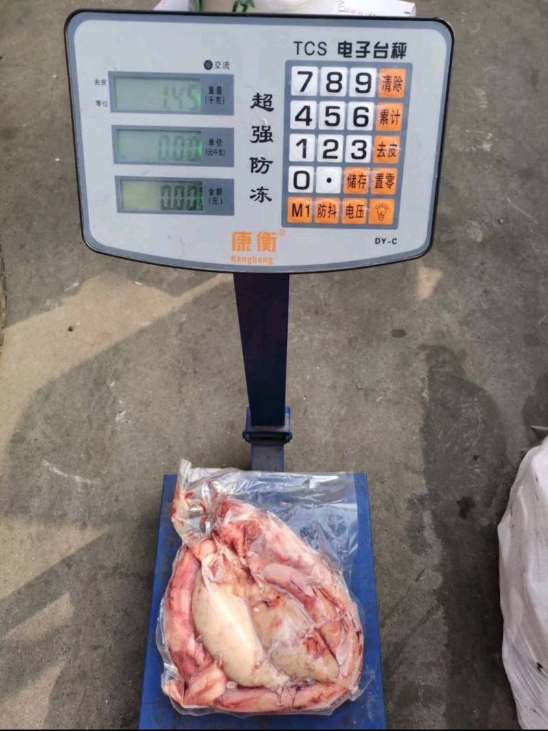 滋补牛鞭宝整套新鲜速冻，好东西价不高，一件起发。