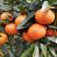 沃柑，产自四川柑桔产区，果型圆滑，果面颜丽，现货上市