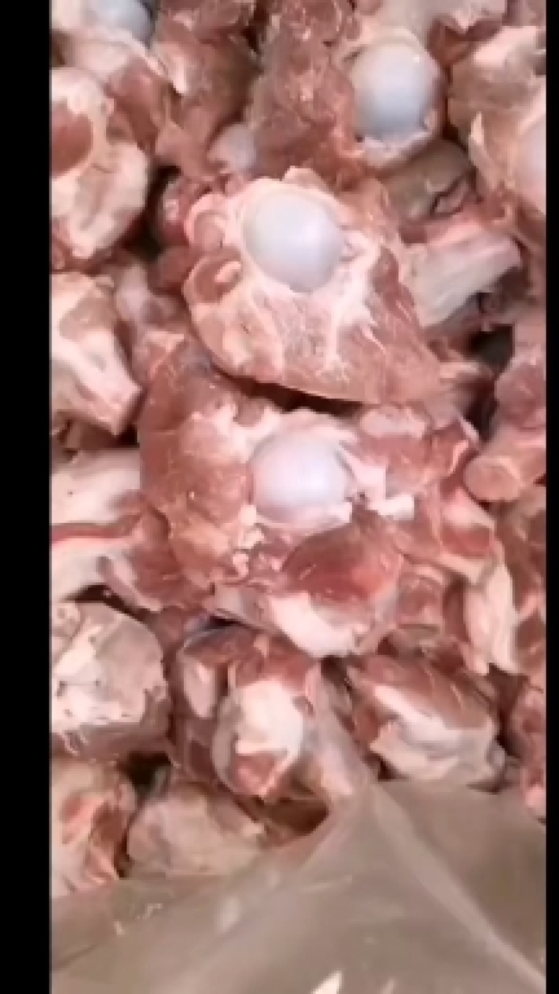精品优质一级大棒骨，手续齐全新货，可长期供货