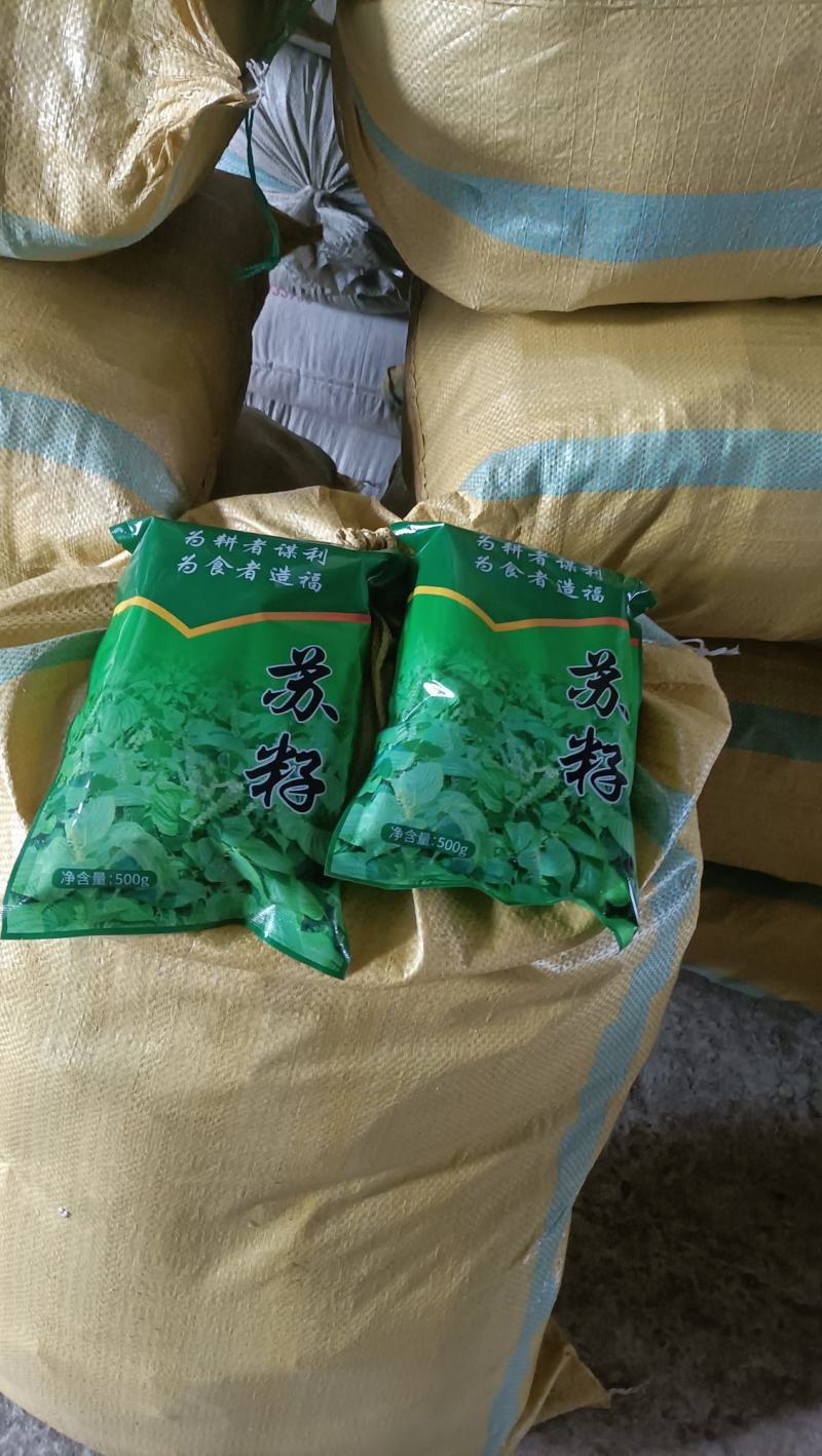 苏籽