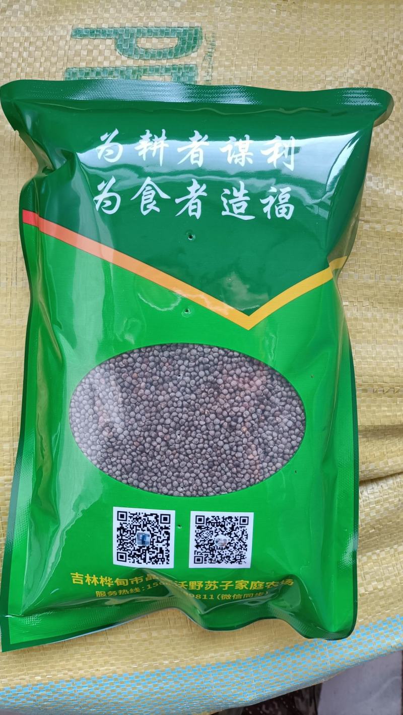 苏籽