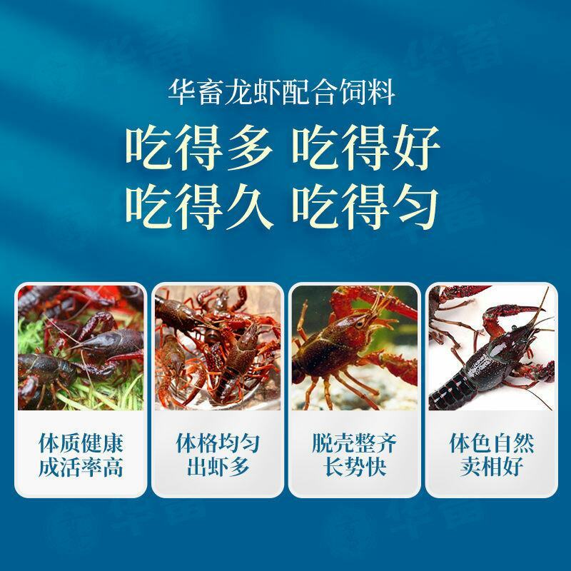 茶海虾王华畜40斤小龙虾养殖饲料30个蛋白龙虾配合虾料粮