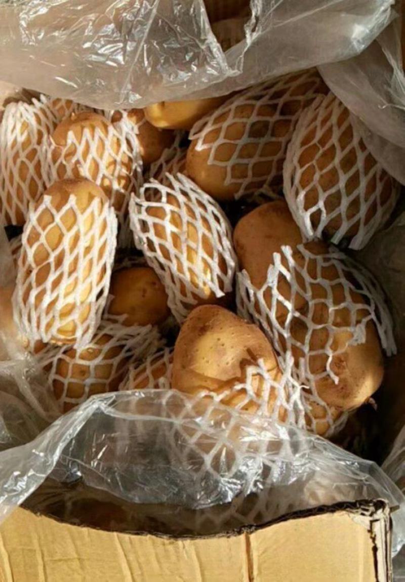 土豆荷兰十五黄皮黄心产地直发保质保量诚信代发全国发货