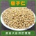 柏子仁野生新货去壳柏子仁柏子仁干柏子仁粉优