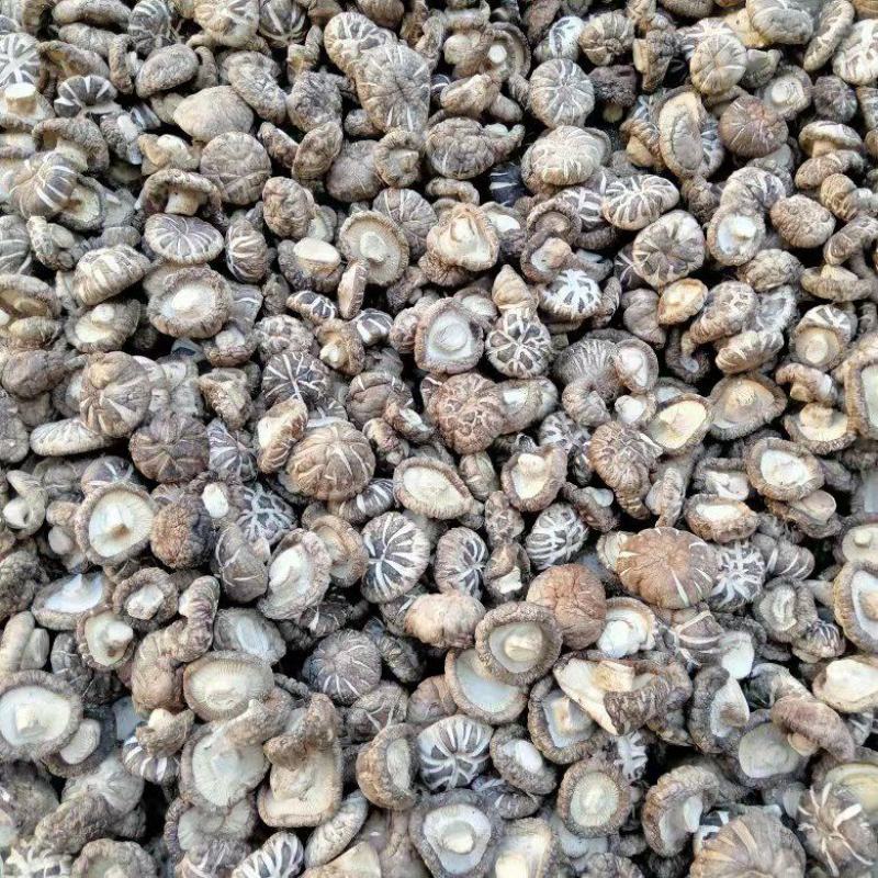 花菇产地直发，一手货源，自产自销，量大从优，欢迎联系