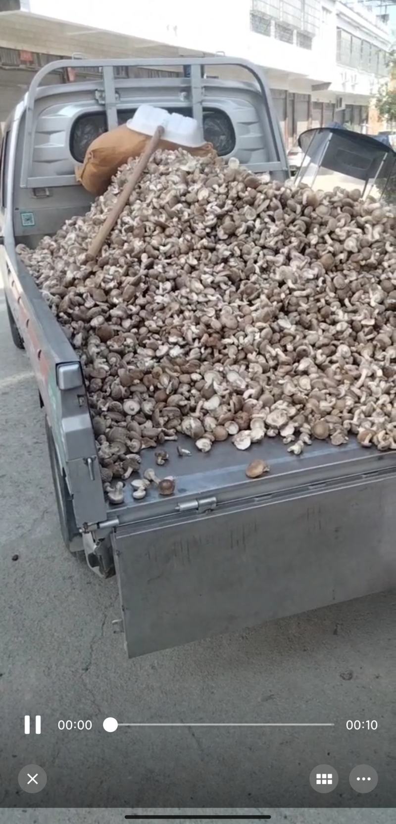 花菇产地直发，一手货源，自产自销，量大从优，欢迎联系