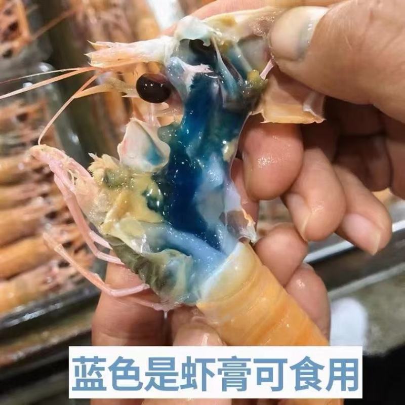 深海鳌虾一手货源批发，全国包邮一件代发
