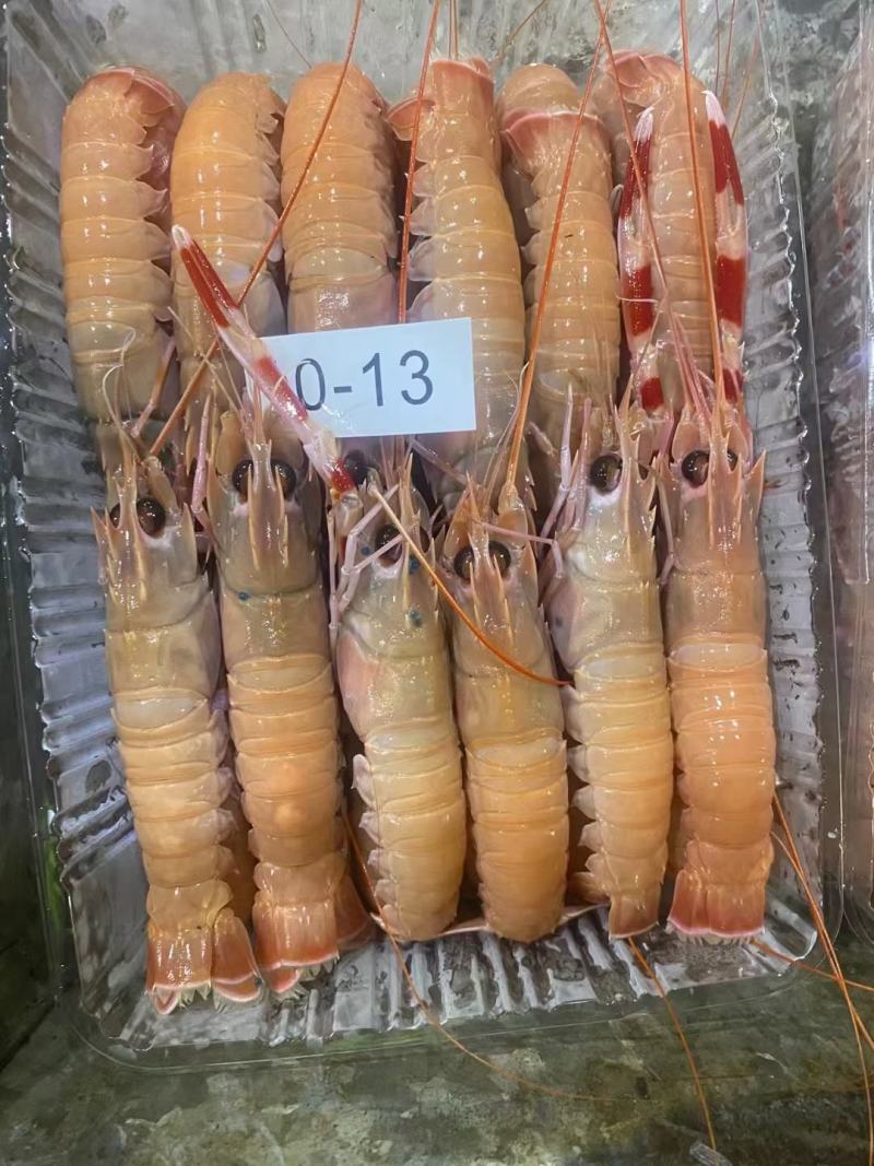 深海鳌虾一手货源批发，全国包邮一件代发