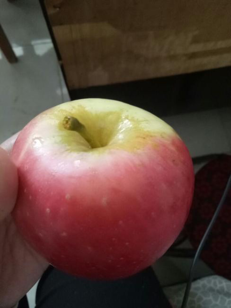 【推荐】河北斗南苹果皮薄光滑无锈大量供应视频看货