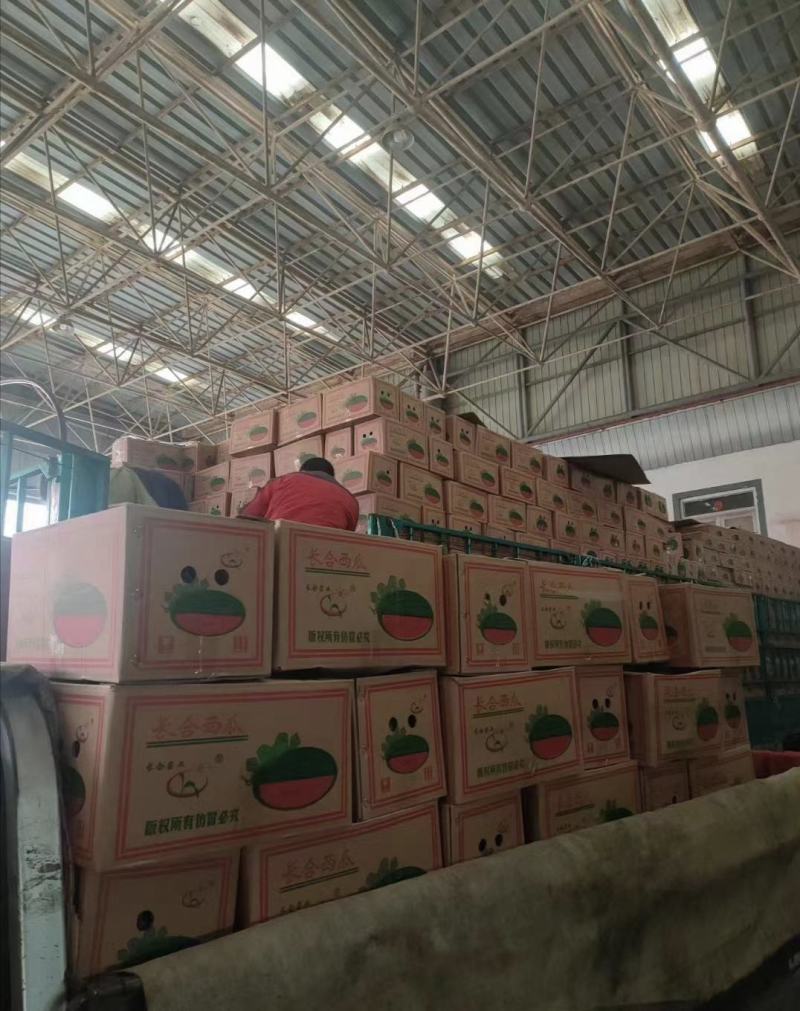 大量现货，各种品种西瓜齐全，质量保障，物流方便