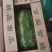 大量现货，各种品种西瓜齐全，质量保障，物流方便