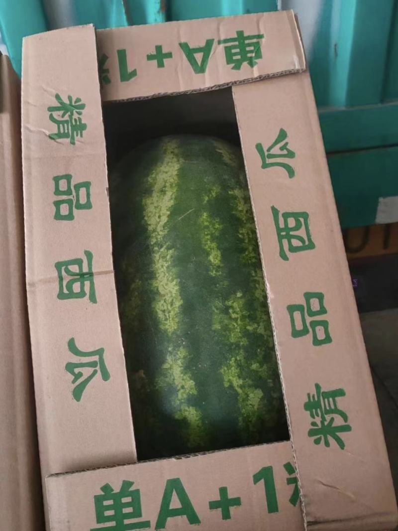 大量现货，各种品种西瓜齐全，质量保障，物流方便