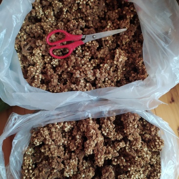 贵州铜仁晒干枇杷花干品无杂质价廉物美产地直发一手货源