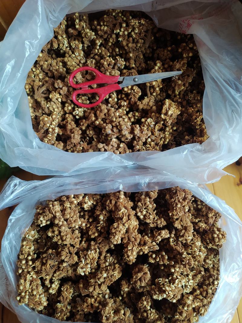 贵州铜仁晒干枇杷花干品无杂质价廉物美产地直发一手货源