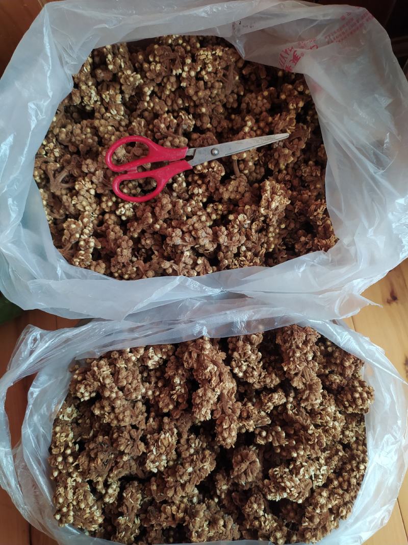 贵州铜仁晒干枇杷花干品无杂质价廉物美产地直发一手货源