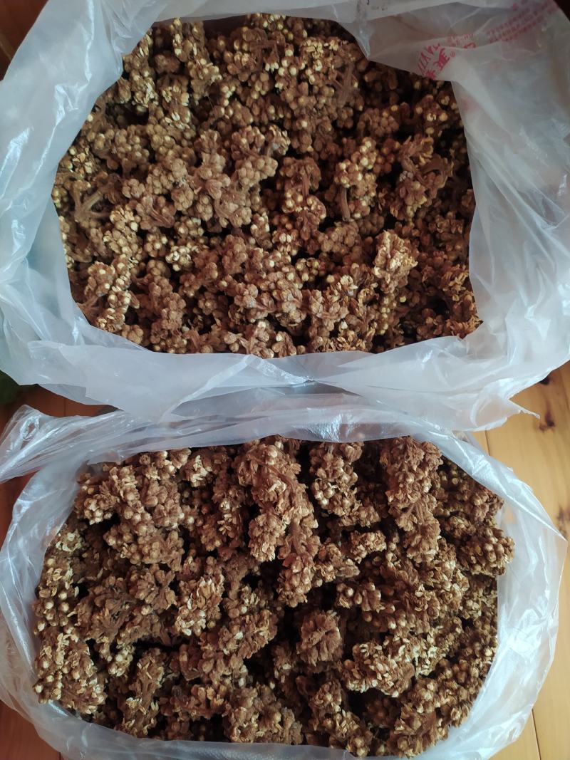 贵州铜仁晒干枇杷花干品无杂质价廉物美产地直发一手货源