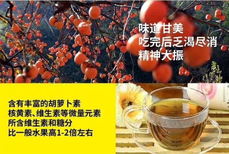 陇南正宗纯柿子酒自然发酵柿子酒甘肃成县特产果酒500ml
