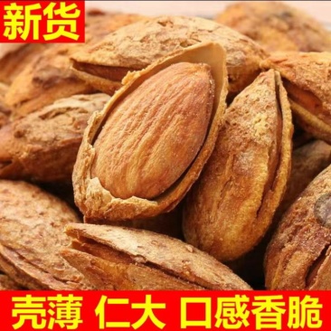 新货巴旦木净重500g/奶香味薄壳坚果批发