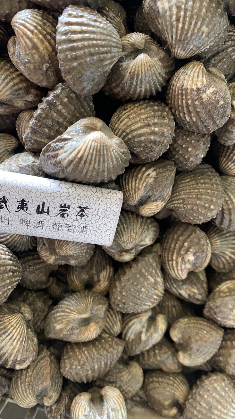 福建血蛤泥蛤新鲜活血蛤各类规格均有批发