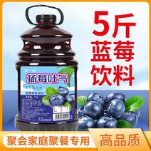 【厂家直】蓝莓汁大桶果汁果味饮料整箱特价批发包邮