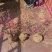 出售供应映山红苗，出售映山红籽播苗，映山红花海工程苗