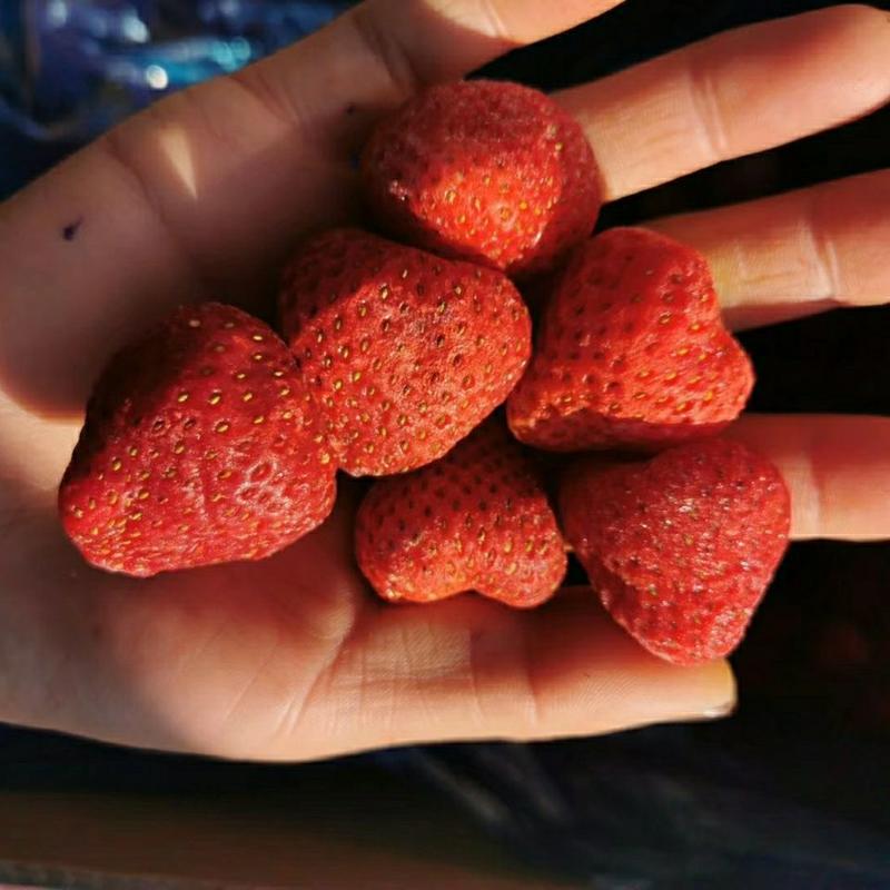 冰冻牛奶草莓新鲜冷冻草莓丹东草莓冷冻草莓速冻草莓包邮