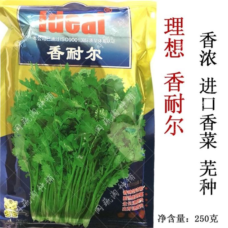 理想香耐尔香菜种子，250克