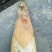 竹笋