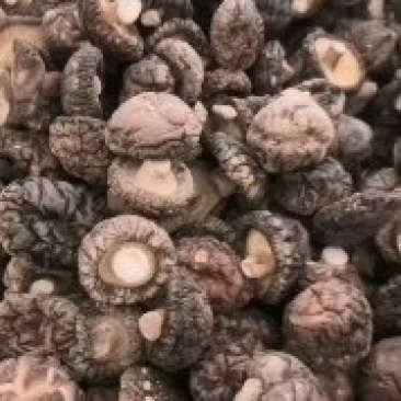 各种规格干香菇，产地直发，一手货源，量大从优，欢迎联系