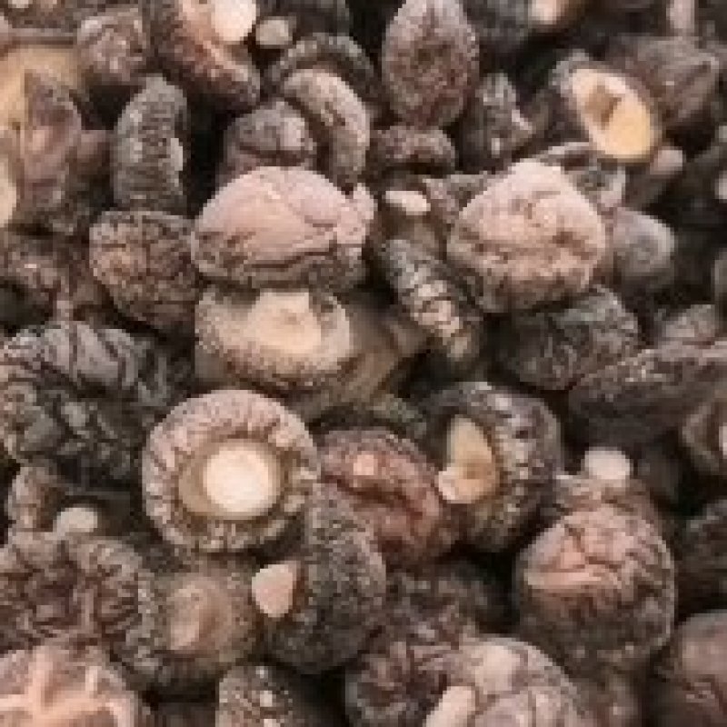 各种规格干香菇，产地直发，一手货源，量大从优，欢迎联系