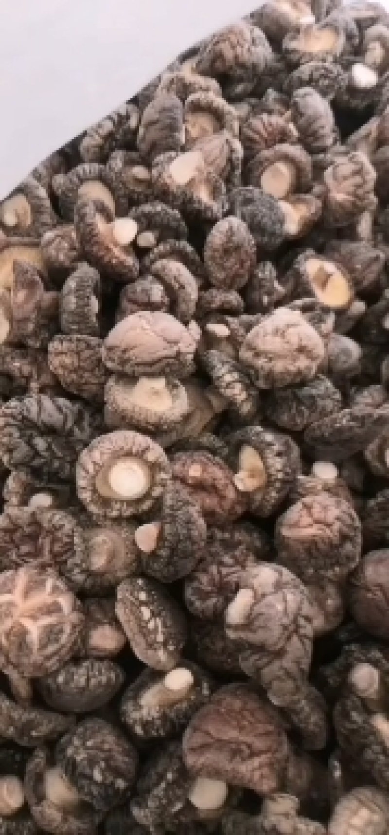各种规格干香菇，产地直发，一手货源，量大从优，欢迎联系