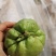 佛手瓜老瓜，发芽瓜！