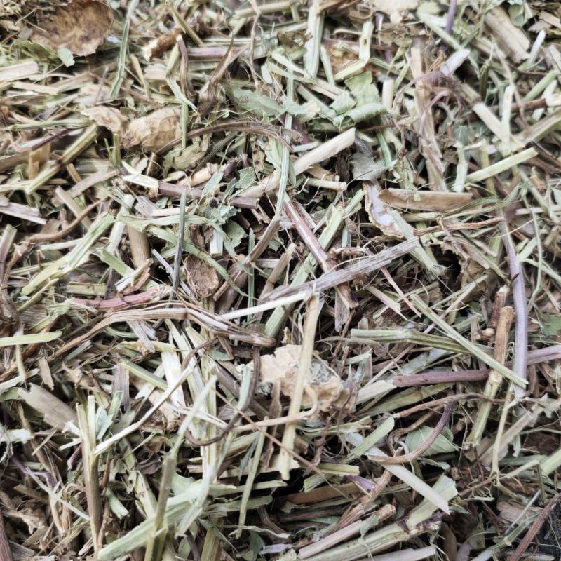 花生秧草料细粉无土无膜无霉变，质量保证价格合理等