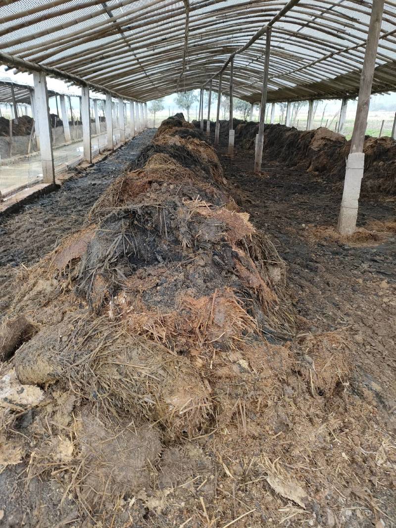 江西省吉安市鸭粪发酵腐熟加工有机肥料大量供货，肥效更持久