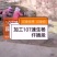 杨树苗