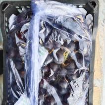 2022年2月10日，产地批发4斤小黑箱葡萄3.0元一箱
