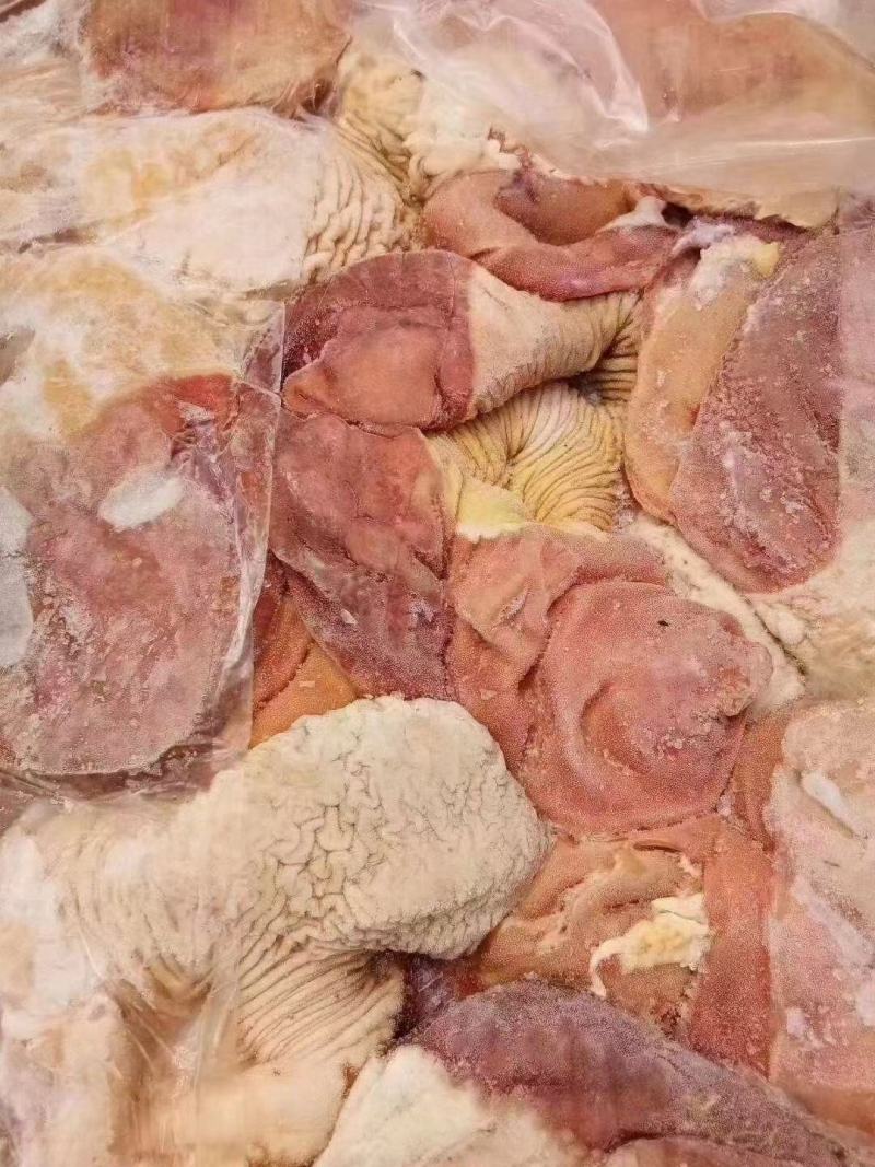 驴肉副鲜冻驴肚子精修去油肚子颜色鲜支持全国发货