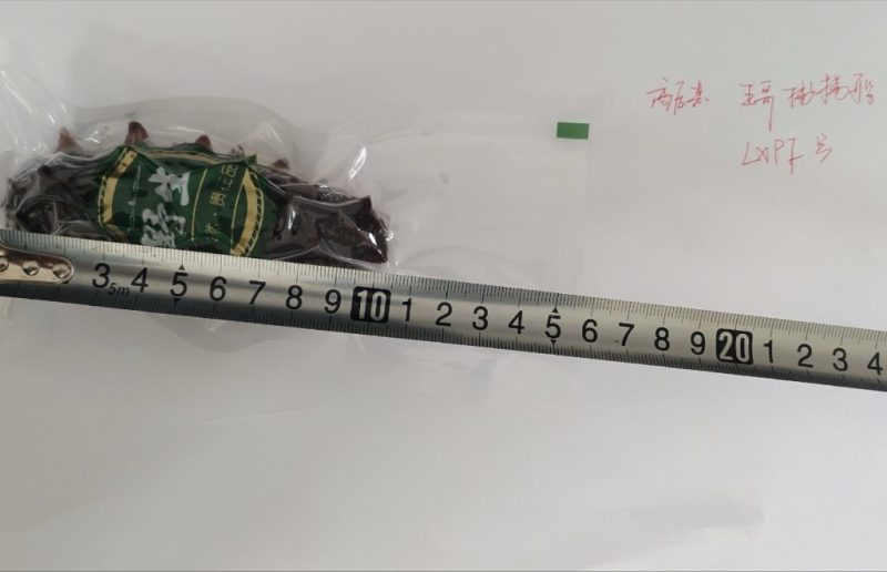 即食海参/淡干海参/半干全干海参支持全国代发可发样品