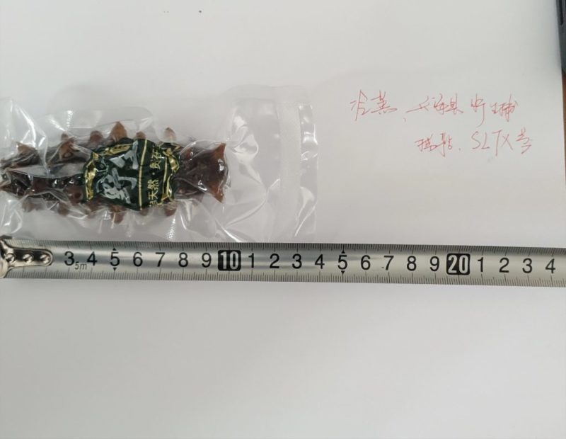 即食海参/淡干海参/半干全干海参支持全国代发可发样品