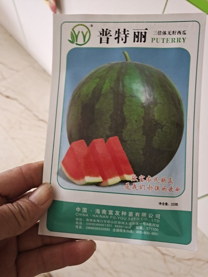 香瓜嫁接苗等农产品嫁接苗支持拿种子来代嫁接
