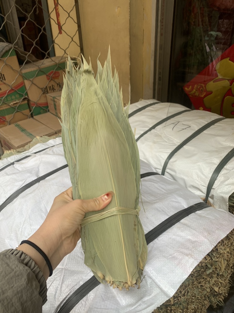 越南麻竹叶若竹叶远货大叶子国产粽叶各种规格