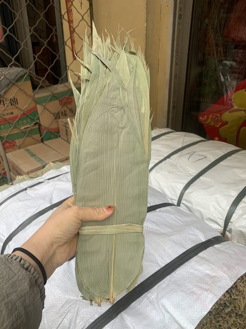越南麻竹叶若竹叶远货大叶子国产粽叶各种规格
