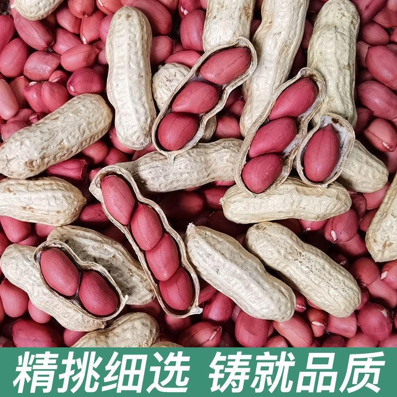 农家铁锅炒花生零食2023年新货新鲜带壳原味四粒红衣红皮